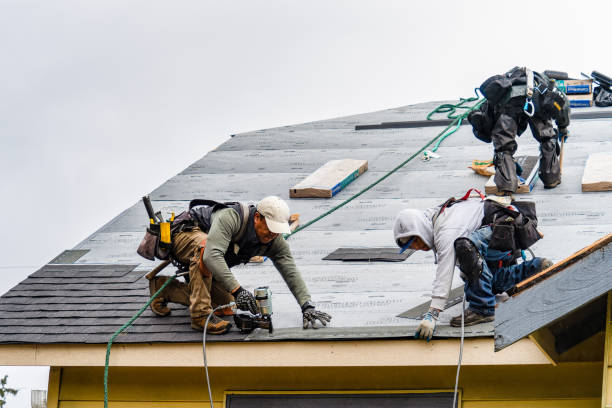Professional Storm Damage Roof Repair technician working in Madisonville, KY
